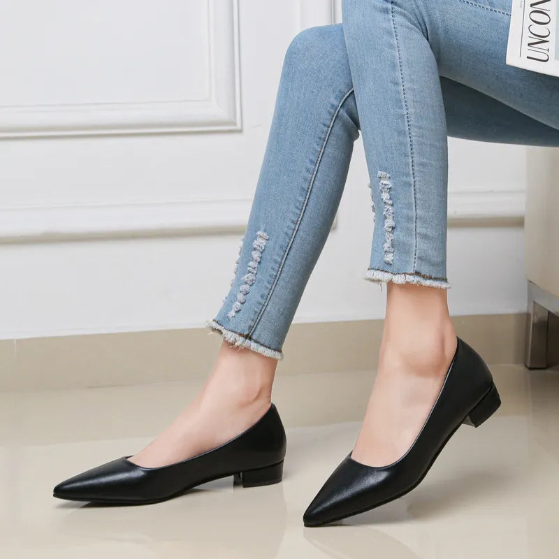 Pointed Toe Low Heel Pump
