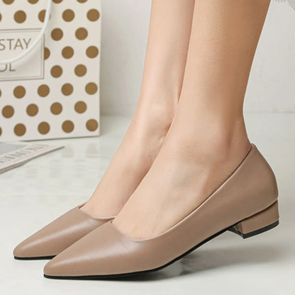 Pointed Toe Low Heel Pump