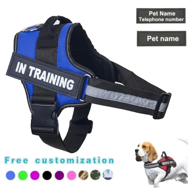 GLZ-K9™ Custom No-Pull Dog Harness